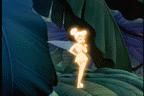 :hi: i do i do i do belive in fairies